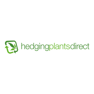 Hedging Plants | Buy Quality Hedge Plants | Hedging Plants Direct